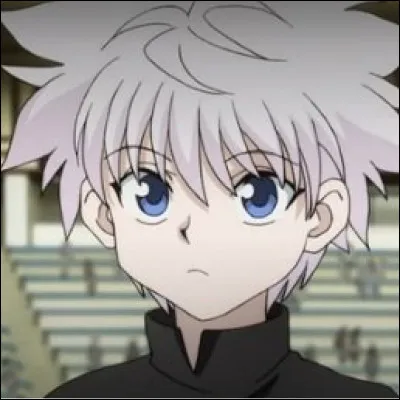 Quel est ce personnage de "Hunter X Hunter" ?
