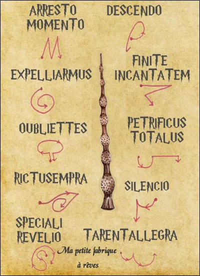 Quel est d'ailleurs ce nouveau sortilège ? T'en souviens-tu ?