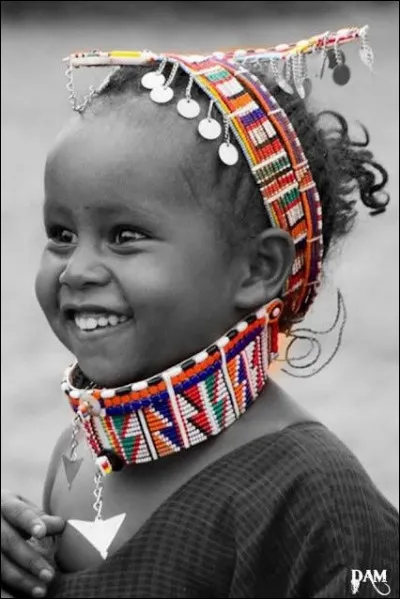 De quel pays étranger Alain Souchon parle-t-il dans sa chanson "C'est déjà ça" ?