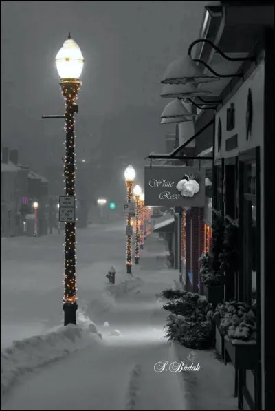 Qui chantait "Strangers in the Night" ?