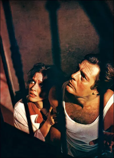 En 1967, sortait le film "L'Étranger" avec Marcello Mastroiani, réalisé par :