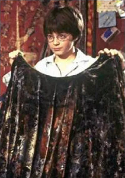 À qui Harry offre-t-il sa cape d'invisibilité ?