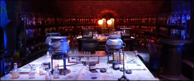 Cette salle de classe est immense, sombre et voûtée ; elle présente Slughorn et Rogue devant des milliers de flacon. Les fans noteront aussi la présence :