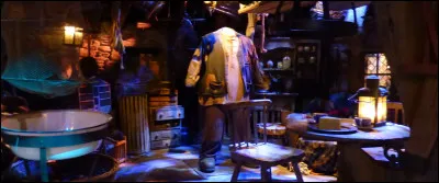 Sans transition, la cabane de Hagrid est plantée là, dans son intégralité. On ne peut pas y rentrer, mais on se délecte du spectacle ! Que voit-on posé sur la table ?