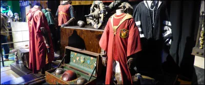 Pour introduire la fameuse salle de simulation de vol sur balai, quelques articles de Quidditch ont été disposés, mais un intrus se cache, lequel ?