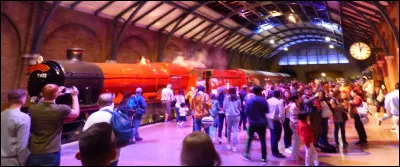 Après ces sombres chemins, changement total, on atterrit de plein fouet dans la lumière et la foule du quai de gare ! Ici, obligation de faire LA photo légendaire :