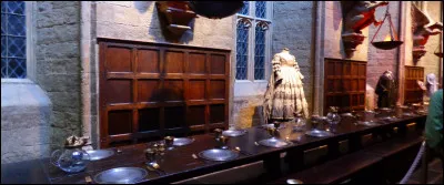 La visite de la Grande Salle est limitée à quelques minutes, pourquoi commencer par tant de frustration ?