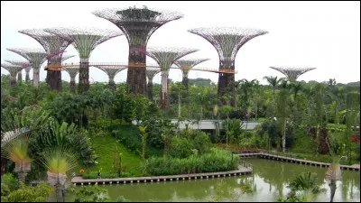 Près de quelle grande ville d'Asie du Sud-Est sont situés ces jardins botaniques ?