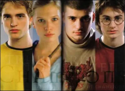 Les familles des champions ont le droit d'assister aux épreuves et de rester dormir au château. Qui vient comme étant la famille de Harry ?
(uniquement dans les livres)