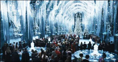 Dans les films, qui apprend à danser aux élèves de Gryffondor en vue du bal de Noël qui approche ?
