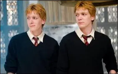 Qu'arrive-t-il à Fred et George lorsqu'ils passent la ligne d'âge pour mettre leurs noms dans la Coupe de feu ?