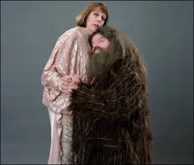 Qu'est-ce que Mme Maxime et Hagrid ont en commun ?
(uniquement dans les livres)