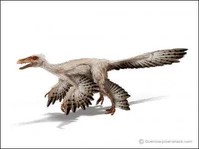 Quel est ce dinosaure ?