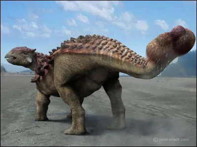 Quel est ce dinosaure ?