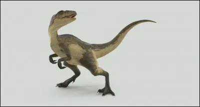 Quel est ce dinosaure ?