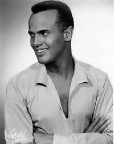 Harry Belafonte a chant&eacute; ''Day-O (The Banana Boat Song)''. Quelle est la fleur du bananier ?