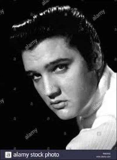 Elvis Presley a chant&eacute; ''Heartbreak Hotel'', un titre qui a vu le jour apr&egrave;s le suicide d'un jeune homme, un fait divers survenu &agrave; Miami en Floride. Quels &eacute;taient les surnoms des ''Deux Flics &agrave; Miami'' ?