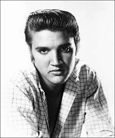 Elvis Presley a chant&eacute; ''Hound Dog''. Quel est le plus grand de ces chiens de chasse appel&eacute;s l&eacute;vriers ?
