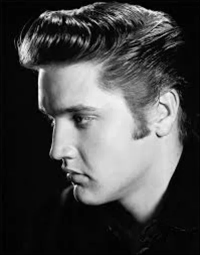 Elvis Presley a chant&eacute; ''Blue Suede Shoes''. Quel est l'autre nom du cuir appel&eacute; ''su&egrave;de'' ?