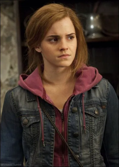 Quel est le patronus d'Hermione ?