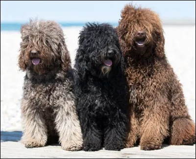 À qui doit-on une histoire sans nom, en 1882 ?