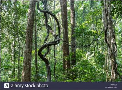 Quel est ton élément préféré ?