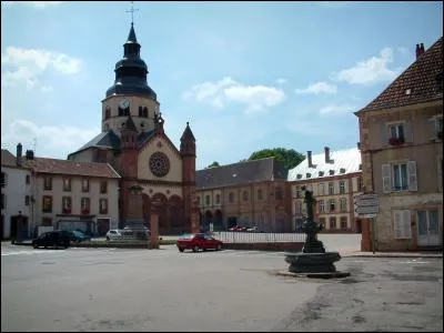 Petite ville de 2 500 habitants du département des Vosges, située à l'entrée de la montagne vosgienne, traversée par le Rabodeau, affluent de la Meurthe :
