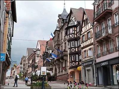 Ville de 11 000 habitants du département du Bas-Rhin, arrosée par la Zorn, située sur un passage naturel entre le plateau lorrain et la plaine d'Alsace :