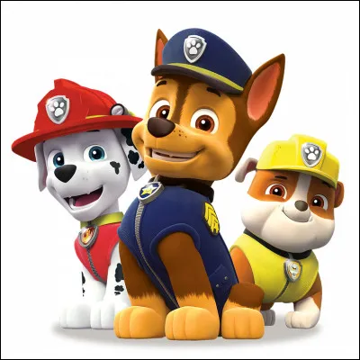 Quelle voiture préfères-tu ?