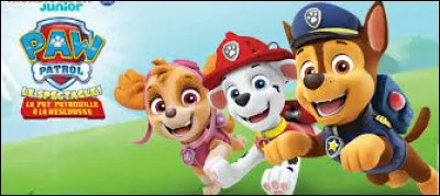 Quel endroit préfères-tu ?