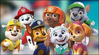 Quelle couleur préfères-tu ?