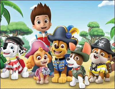 Choisis parmi ces quatre chiots :