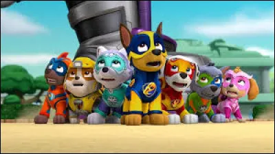 Choisi un autre chiot et chien !