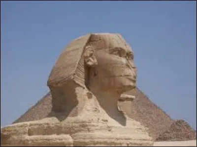 Le Sphinx de Gizeh est une statue très célèbre située dans la Basse-Égypte. Quelle est sa hauteur ?