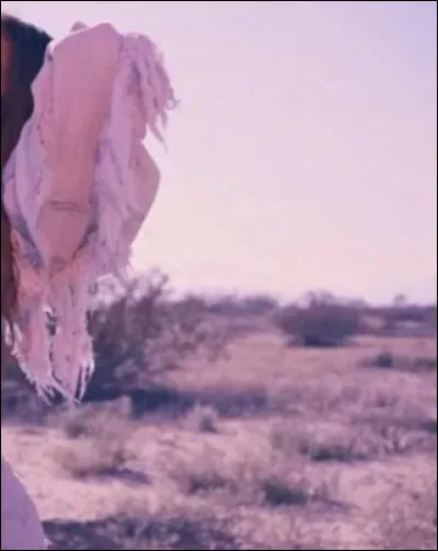 De quel clip cette image vient-elle ?