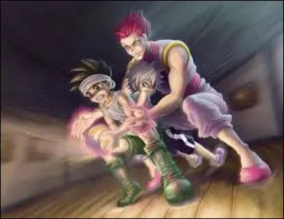 Si Greed Island était accessible, que ferais-tu ?