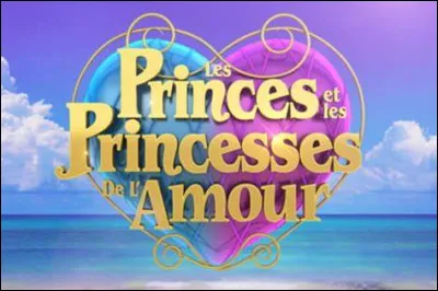 Quelle cat&eacute;gorie de princes n'a jamais exist&eacute; ?