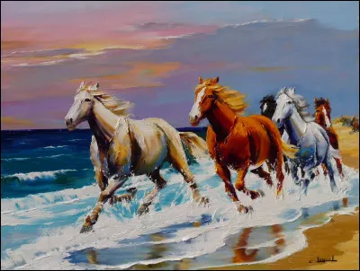 Quelle est la plus petite race de poney ?