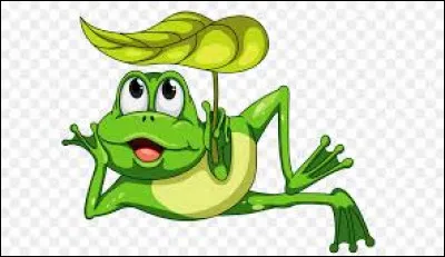 Grenouillère : qu'est-ce ?