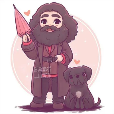 Qui est ce professeur ?