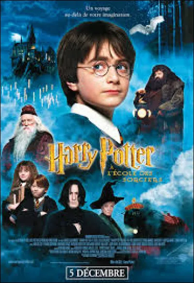 Dans le film ''Harry Potter à l'école des sorciers'', qui ne jette aucun sort réussi ?