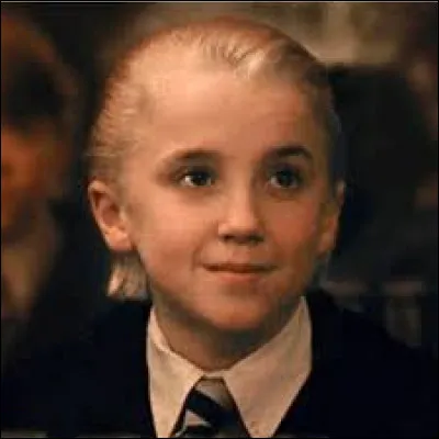 Dans quelle maison est Drago ?