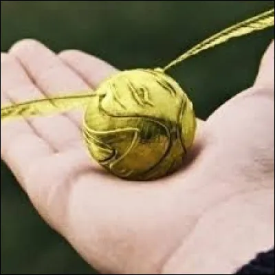 Qui attrape le Vif d'or durant le 1er match de Harry ?