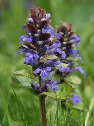 Toujours plus dur ! La connais-tu ?