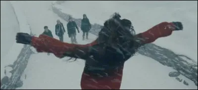 Qui est ensorcelé dans Harry Potter et le "Prince de sang-mêlé" ?