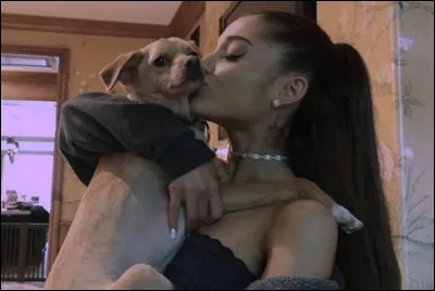 Comment s'appelle son chien le plus connu ?