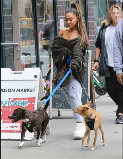 En parlant de chien, combien en a-t-elle ?