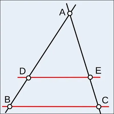 &Agrave; quel philosophe et savant grec attribue-t-on un th&eacute;or&egrave;me sur les relations de proportionnalit&eacute; dans un triangle en pr&eacute;sence de parall&eacute;lisme ?