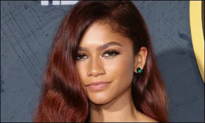 Quelle a été sa première série télévisé ?