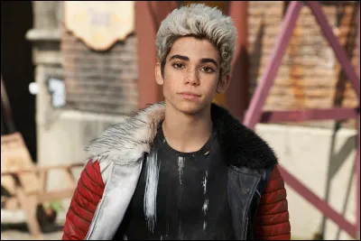 Quel était le nom de ce jeune garçon dans le film Descendants ?